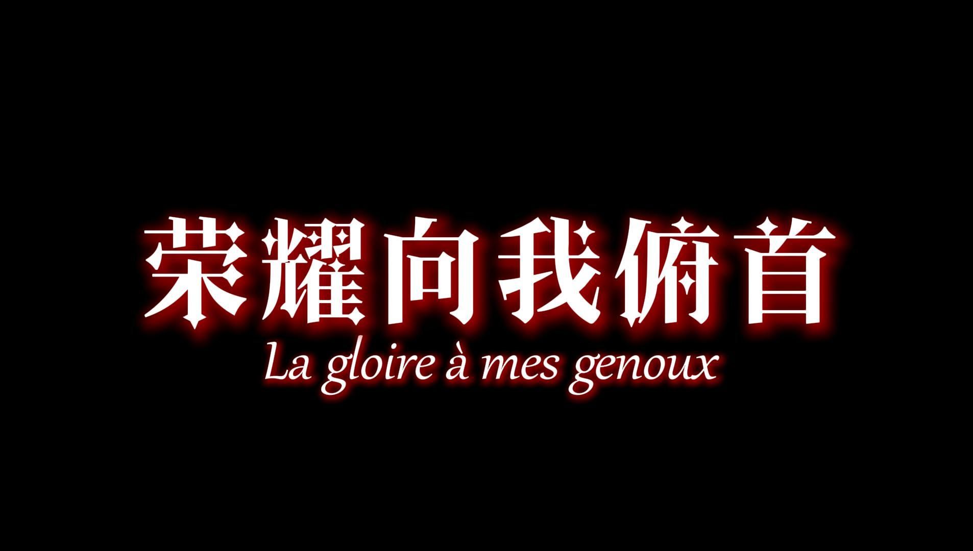 注视荣耀！足球盛事的奇迹照亮前路